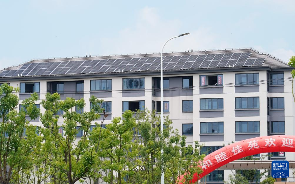 新时代中国调研行·长江篇|颜值变价值——走进崇明生态岛