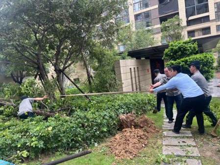 台风灾后重建2