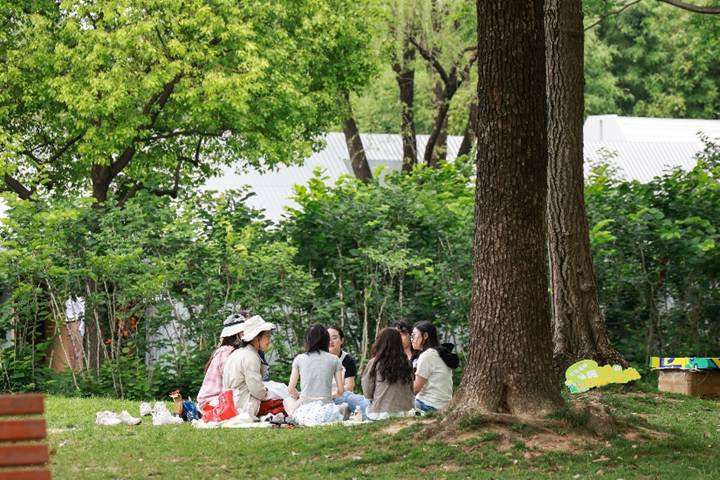 树林旁的长凳上坐着许多人AI 生成的内容可能不正确。