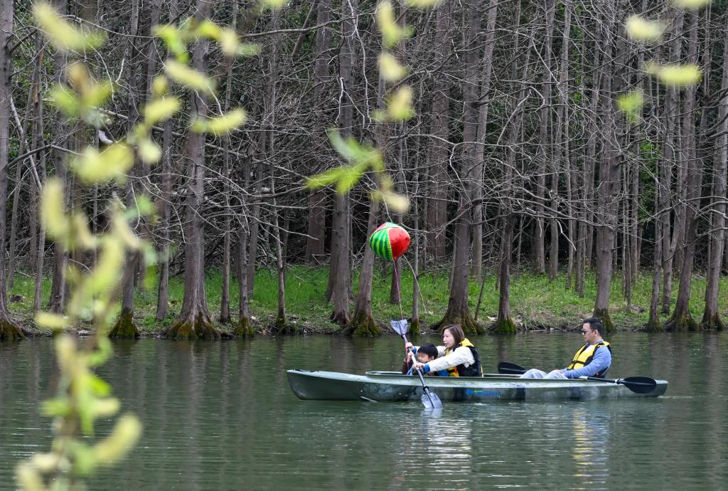亲近自然，拥抱春天