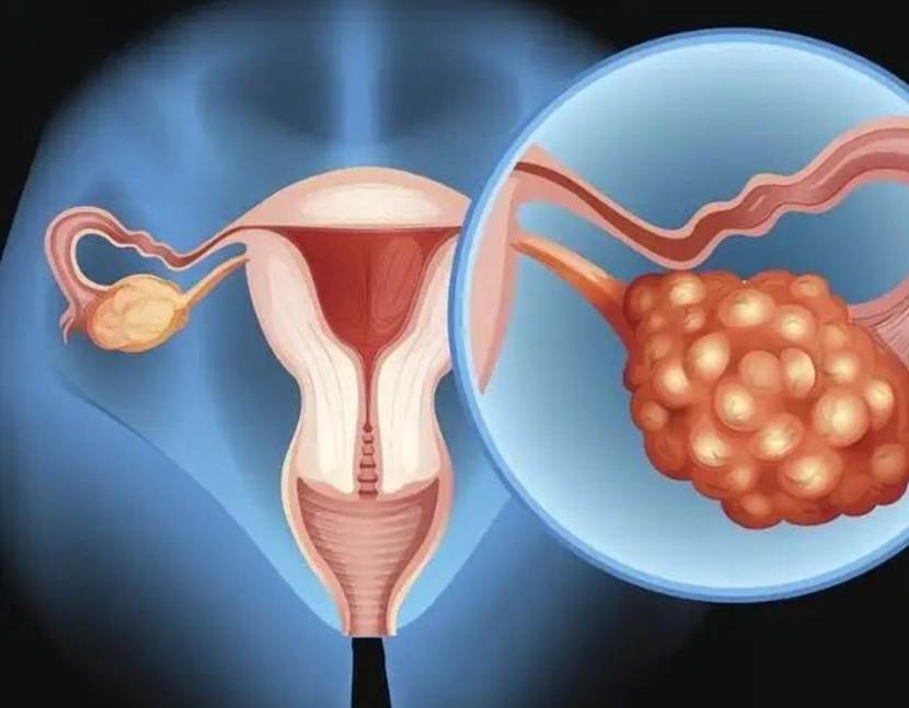 54c3f7fb5a51fbf31b13d0367150e06