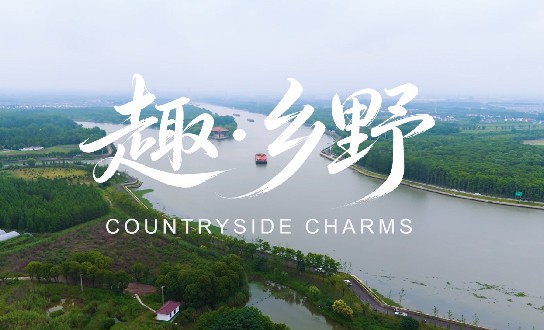 【来松江，就放松】趣·乡野丨万亩田园开画卷，趣游乡野自在行