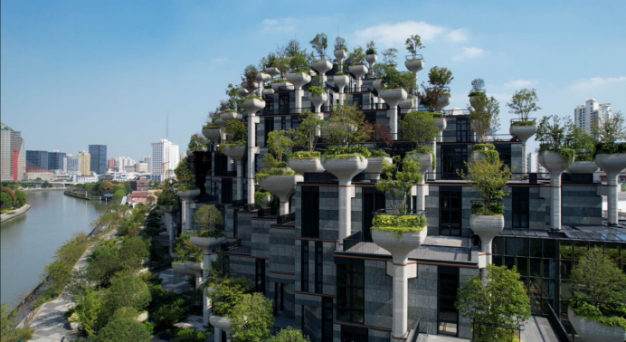 上海普陀：千棵“树”建成“空中巴比伦”