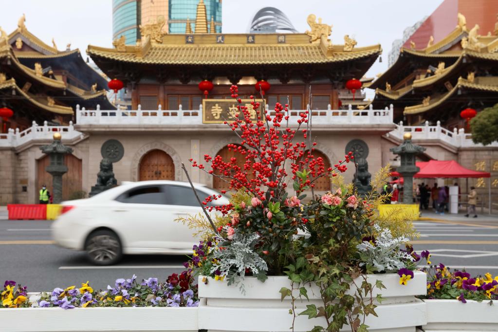 上海：鲜花装点城市绿化带