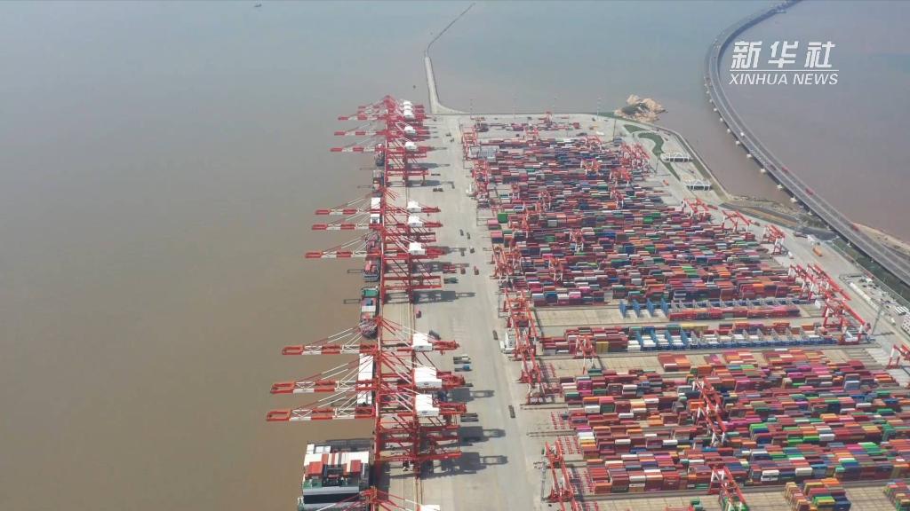 上海洋山港四期自动化码头：科技赋能智慧港口