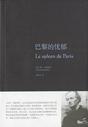 《巴黎的忧郁》