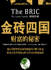 《金砖四国》