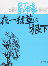 白连春：在一棵草的根下
