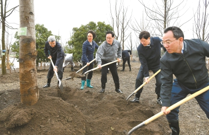 上海今年將新增綠地1200公頃！李強等市領導在浦東義務植樹